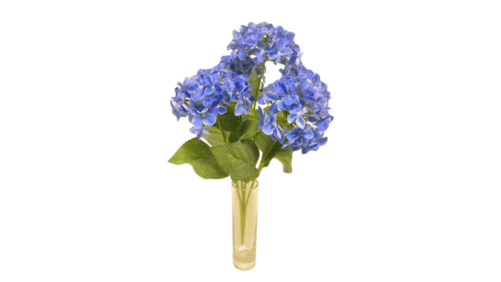 DS002799 BLU