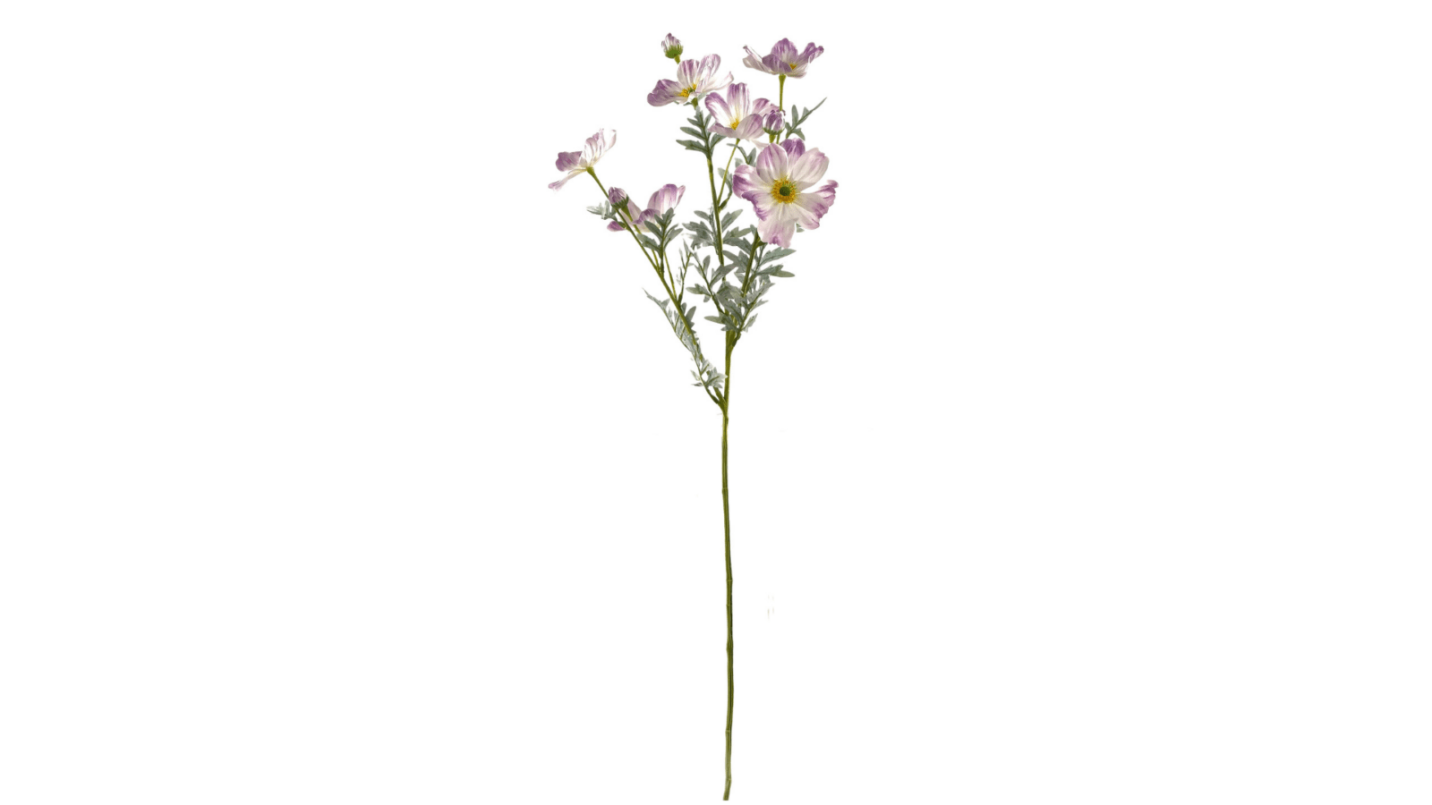 DS003695-20