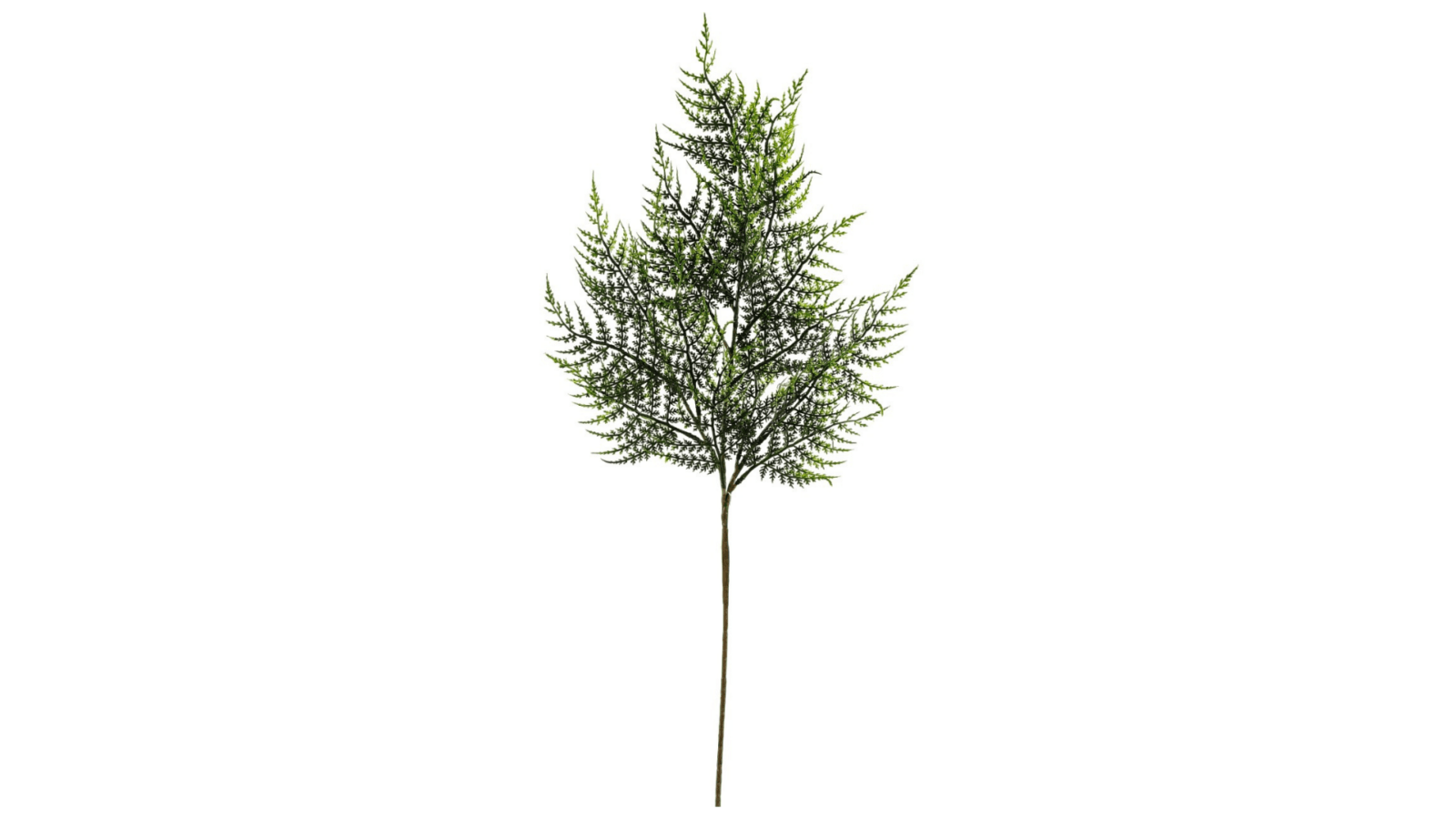 DS000933-01